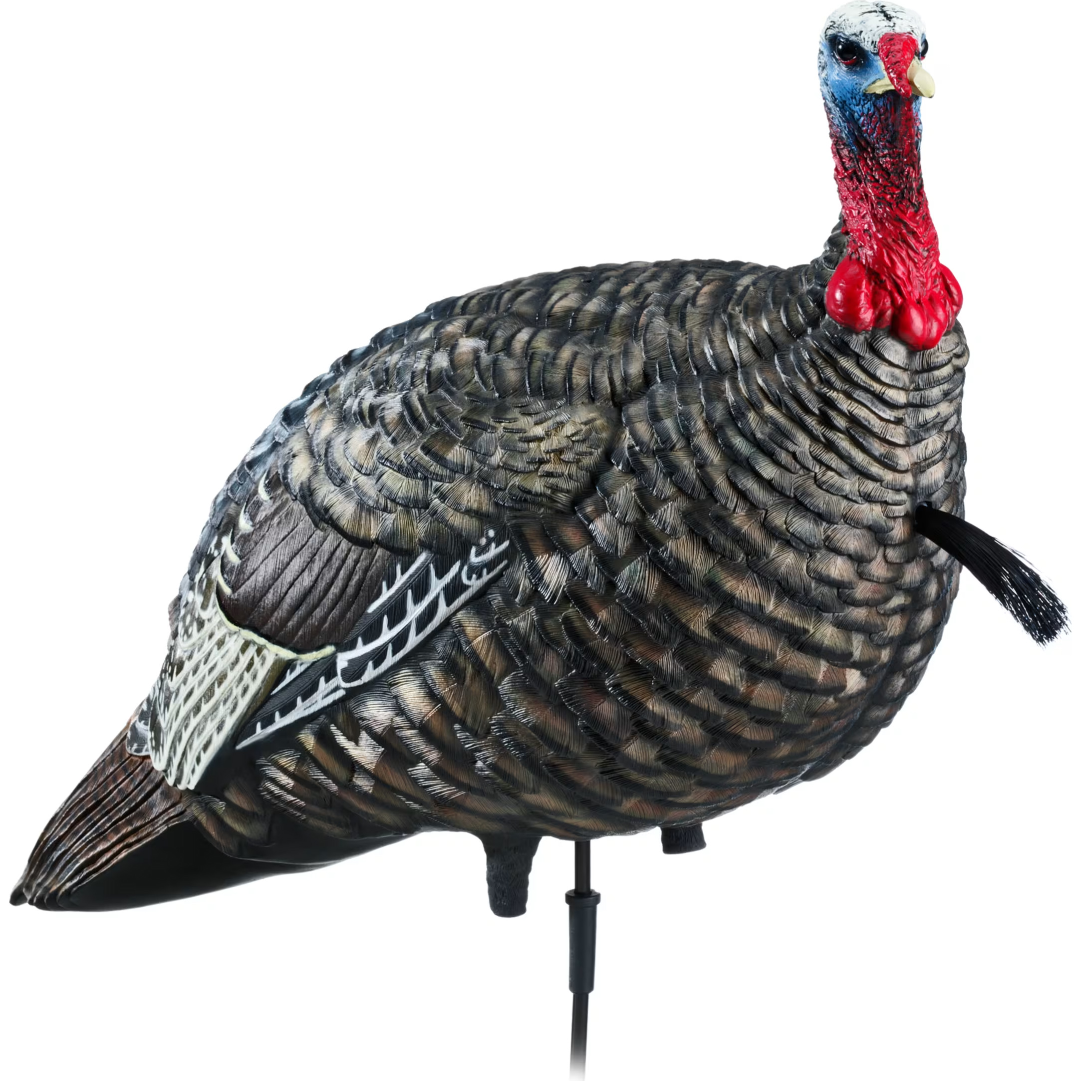 AvianX LCD Lifelike Collapsible Decoy Jake Turkey Decoy Cabela's